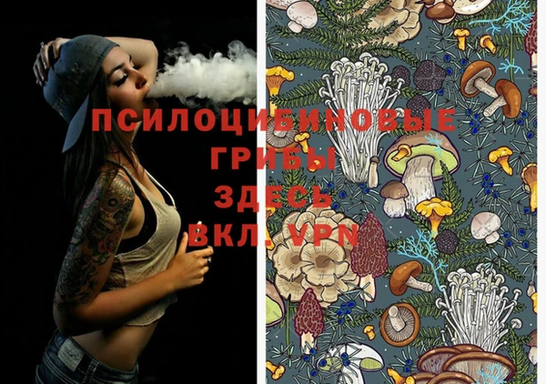 MESCALINE Белокуриха